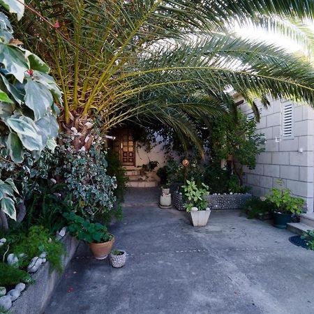 Apartment & Room Cvita 杜布罗夫尼克 外观 照片