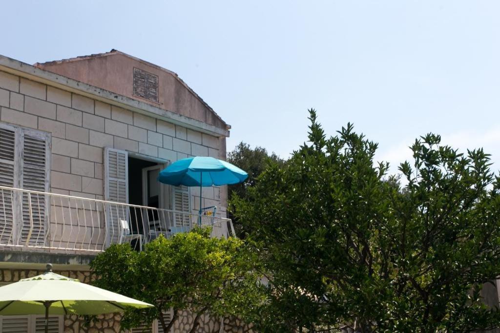 Apartment & Room Cvita 杜布罗夫尼克 外观 照片